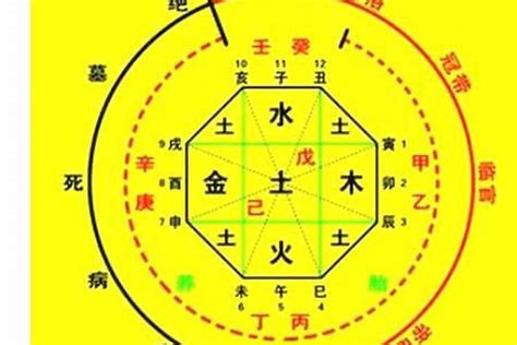 八字喜木|免費生辰八字五行屬性查詢、算命、分析命盤喜用神、喜忌